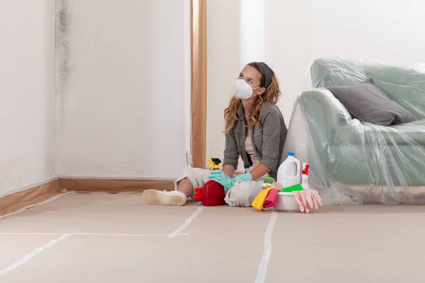 Reliable Mold Inspection contractor in Fallston, MD by WQB Mold Removal